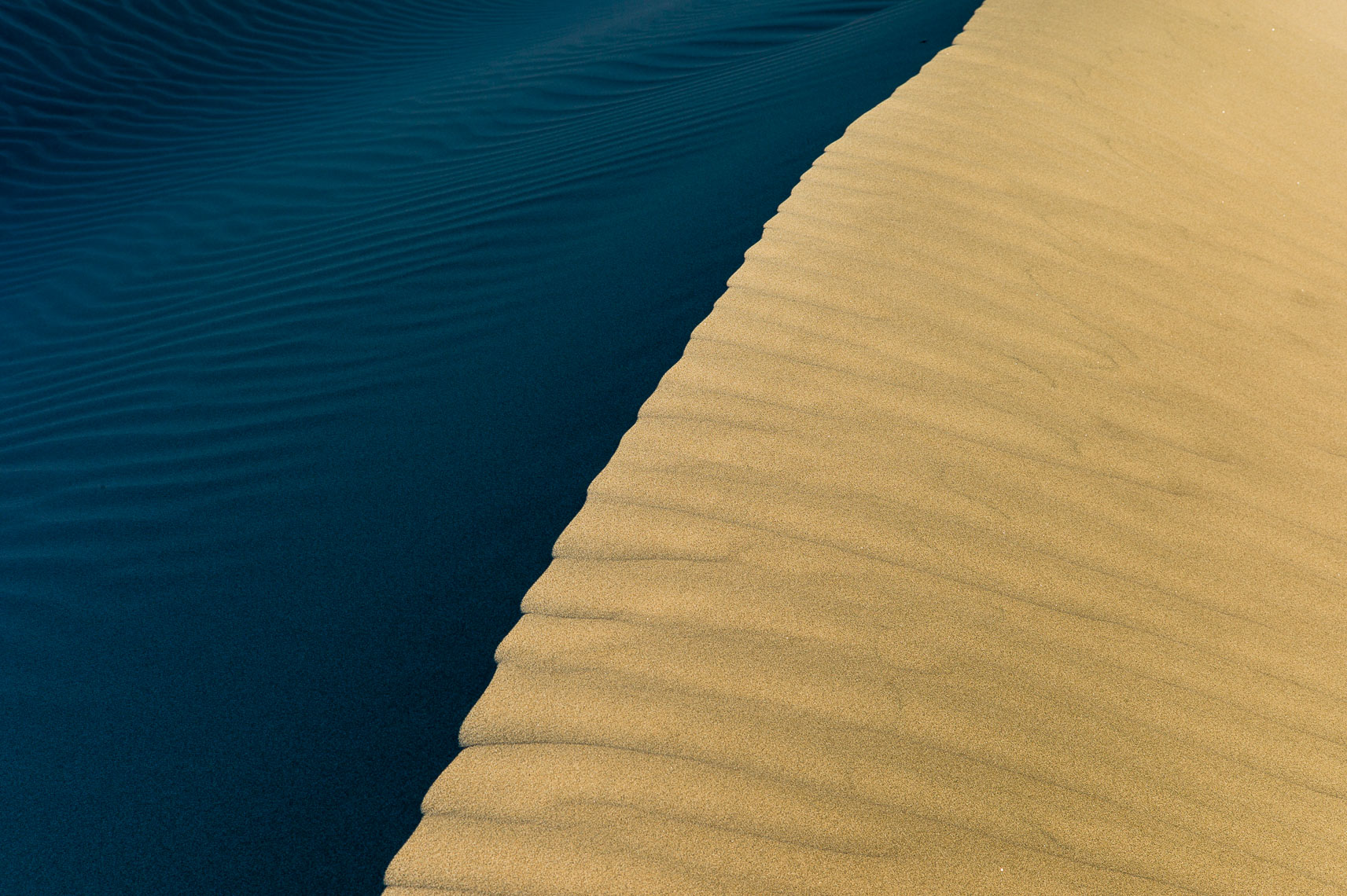 Oceano Dunes - Color