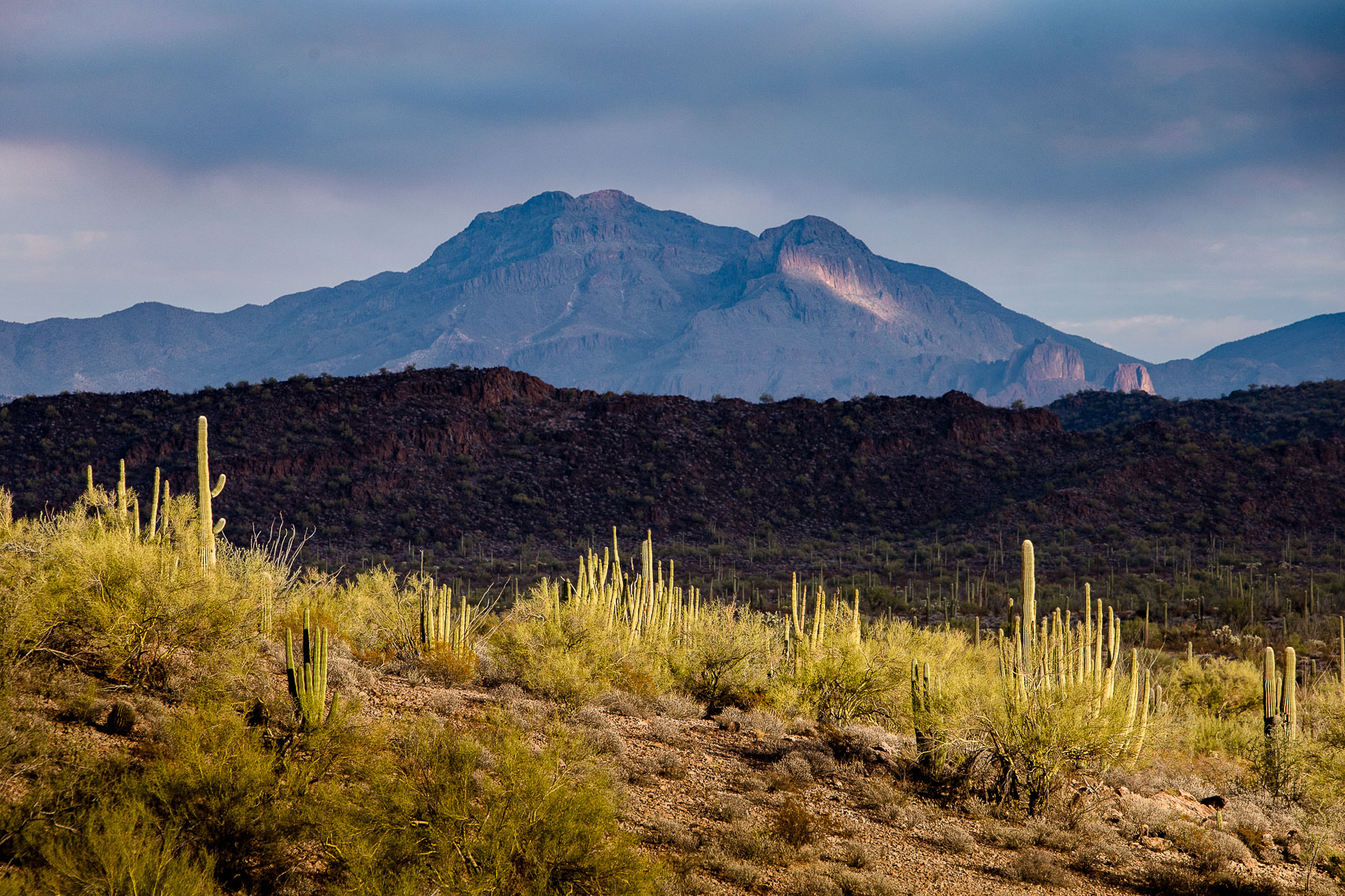 Layers of Light, Organ Pipe Cactus National Monuent