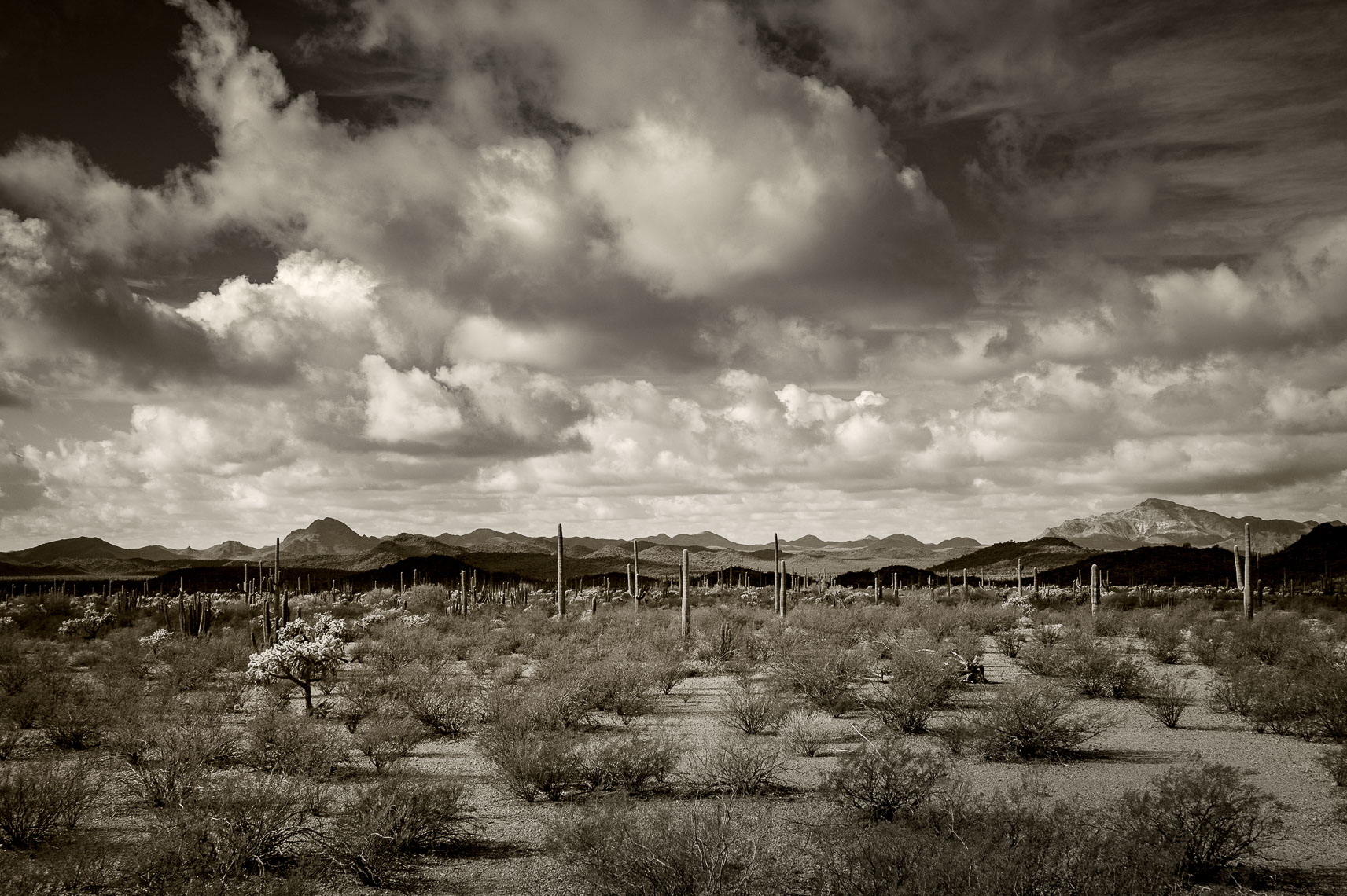 Valley of the Ajo