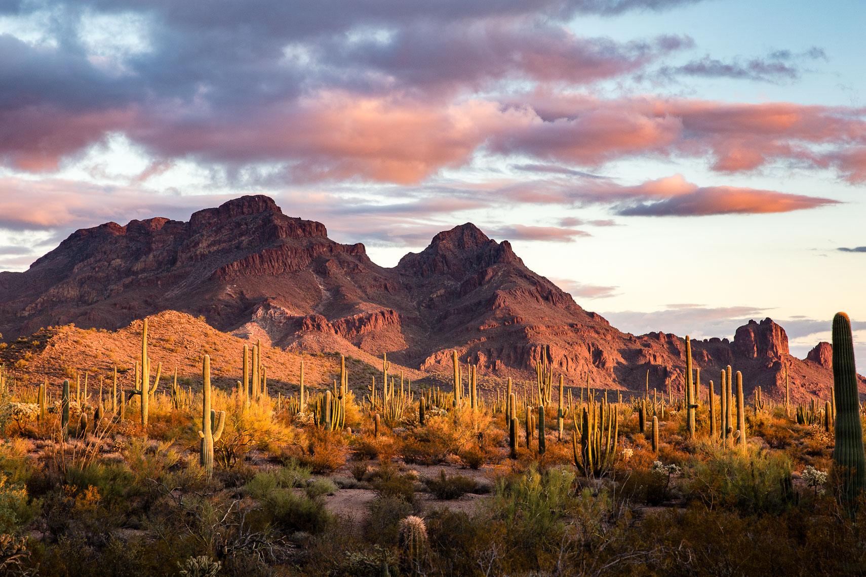 Sunset on Ajo Mountain