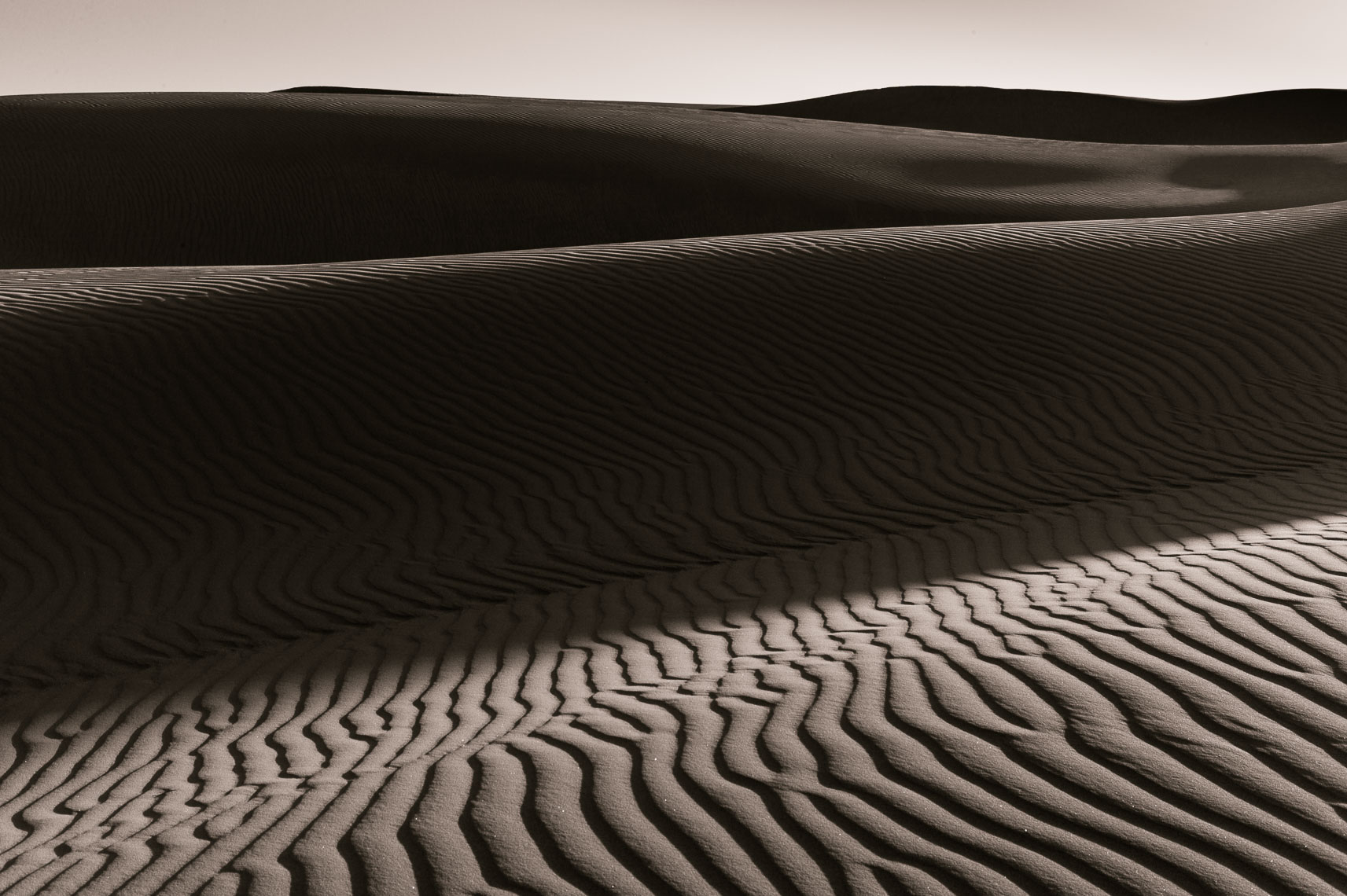 Oceano Dunes