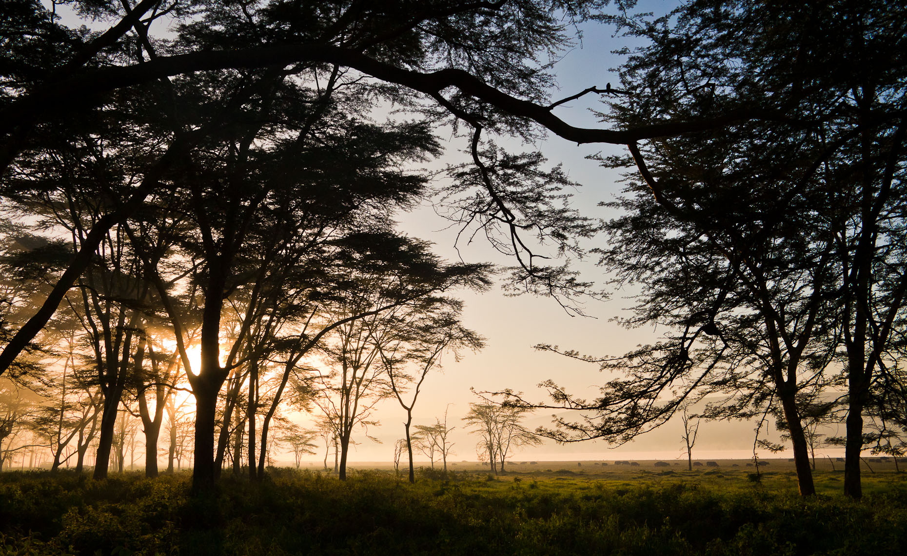 Nakuru Sunrise